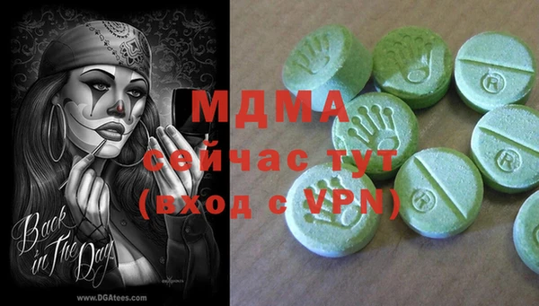 шишки Коряжма