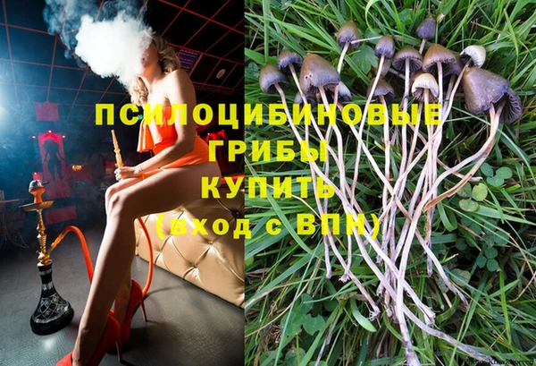 дмт Корсаков