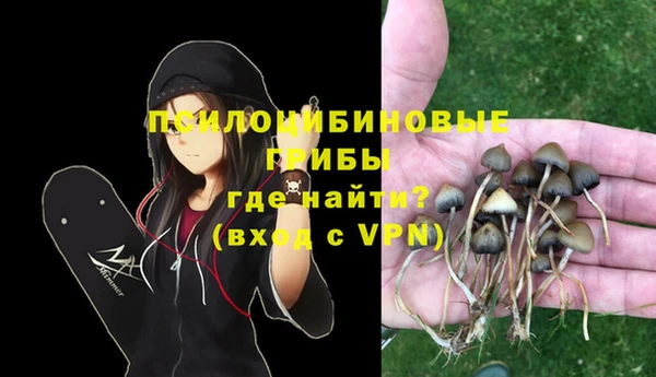 дмт Корсаков