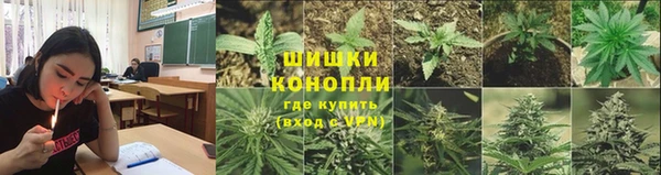 шишки Коряжма