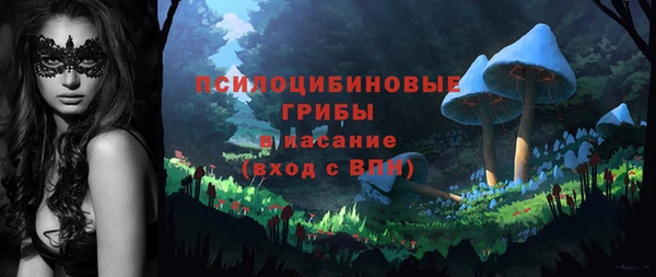 spice Козловка