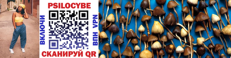 Галлюциногенные грибы MAGIC MUSHROOMS  Купить закладки  Гаврилов Посад 